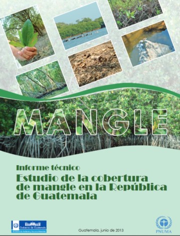 Informe tecnico Estudio de la cobertura de manglares