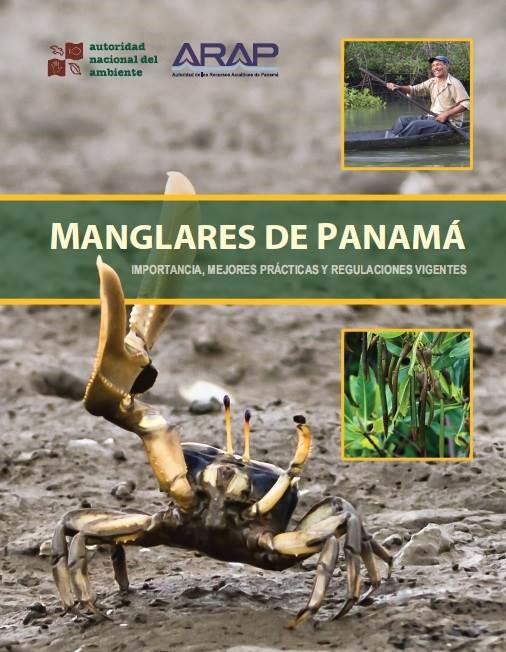 manglares de panama