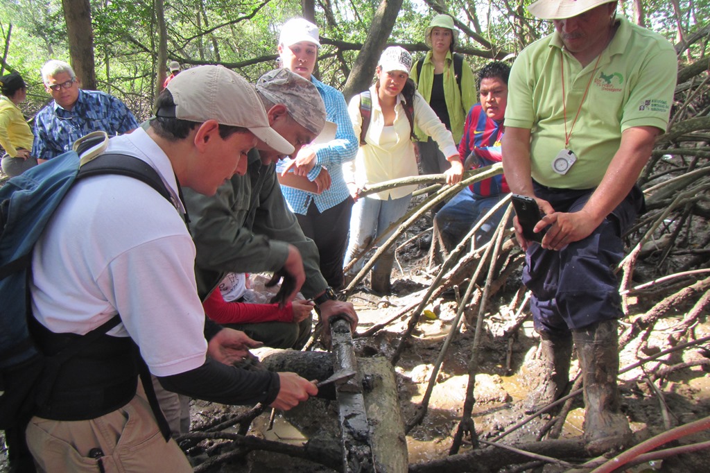 undp pa taller medir carbono manglares
