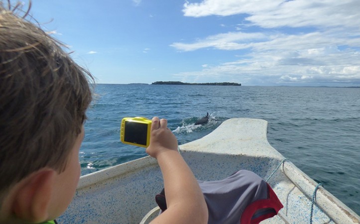 Preparan dos grupos comunitarios para el turismo de cetáceos en Chiriquí Oriente